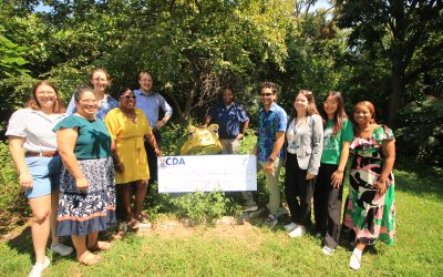 API awarded one of two Neighborhood Implementation Awards